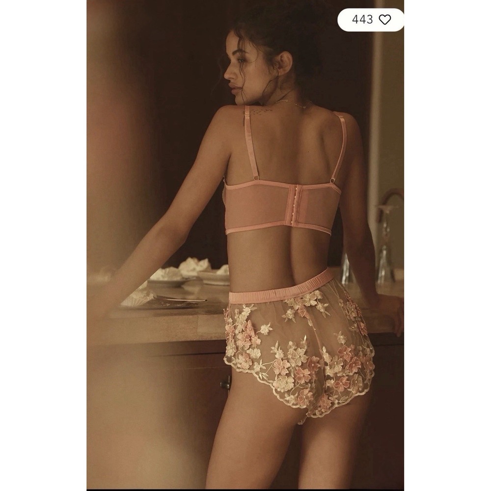NWT Anthropologie Kilo Brava Embroidered Mesh Tap Shorts Pink Floral Lingerie M